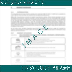 グローバルリサーチ調査資料のイメージ